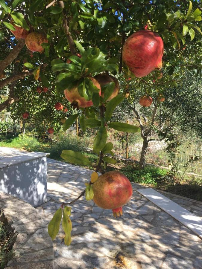 Solive Guest house Himare