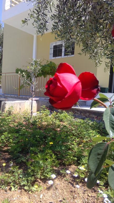 Solive Guest house