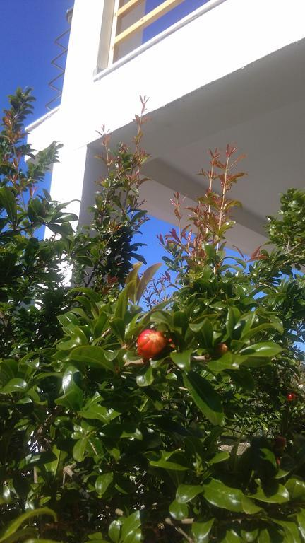 Solive Himare