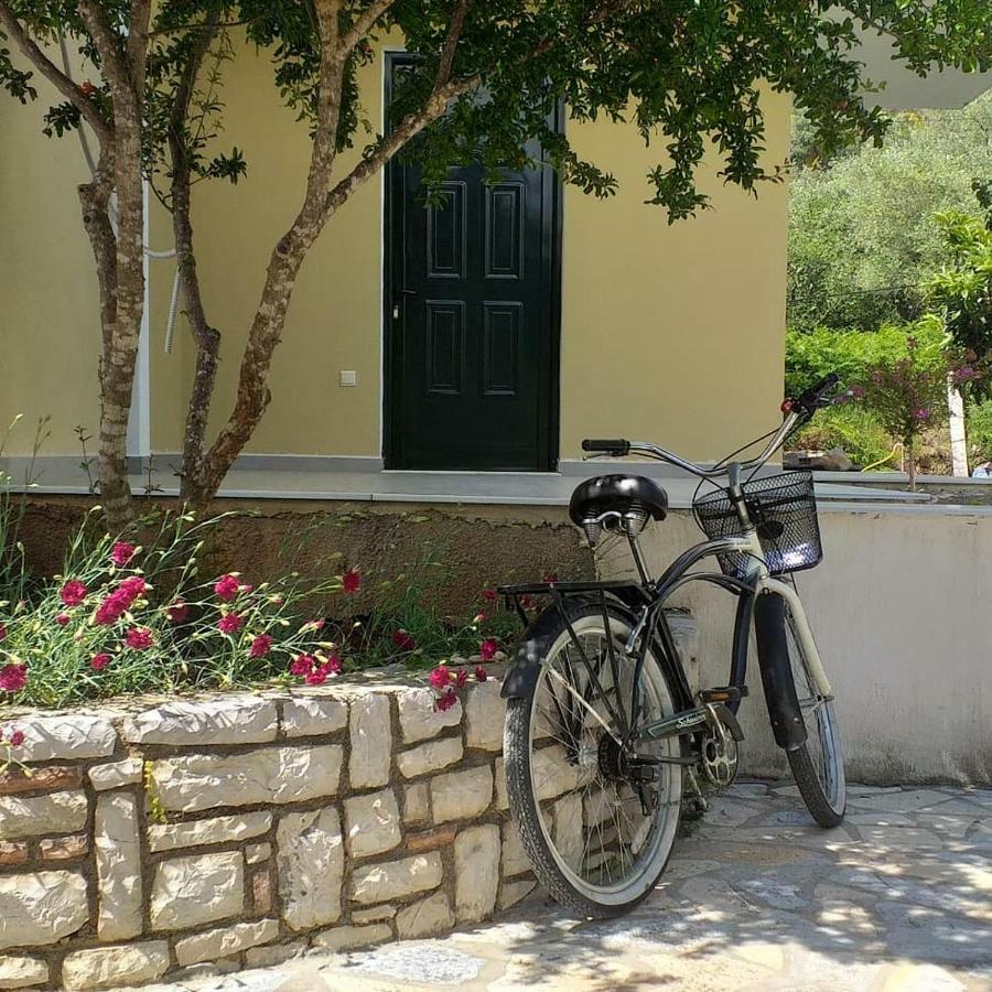 Guest house Solive Himare