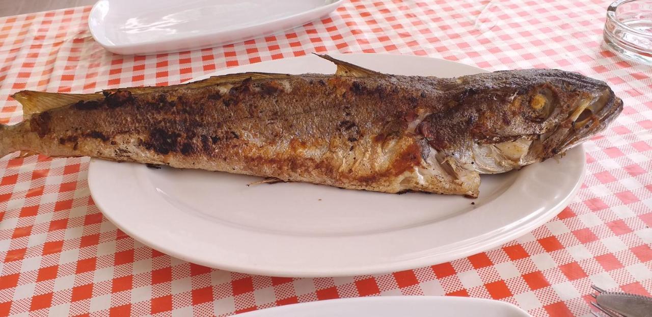 Solive 招待所 Himare